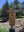 Bryan's Birdhouse logo